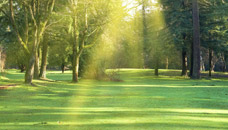 Wilson Funeral Home Mannasmith Chapel